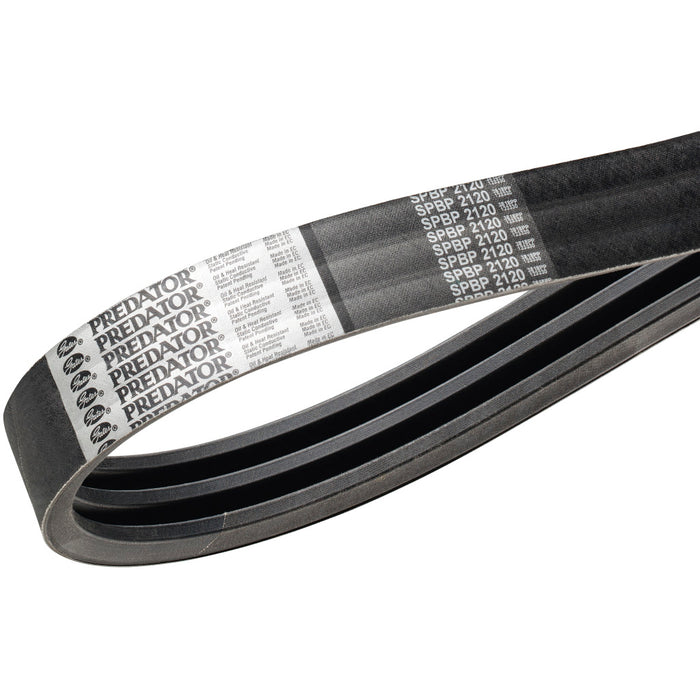 Predator Powerband