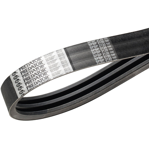 Predator Powerband